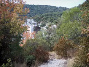 Concluses de Lussan - Gorges de l'Aiguillon : sentier caillouteux bordé d'arbres et d'arbustes avec vue sur la cavité d'une falaise