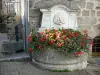 Confolens - Blumenverzierter Brunnen (Blumen)