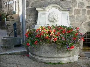 Confolens - Fontaine bloemen (bloemen)