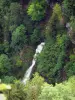 Consolation rock formations - Waterfall surrounded by vegetation