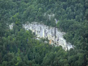 Consolation rock formations - Rock faces (cliffs) and trees