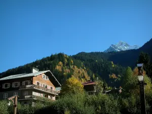 Les Contamines-Montjoie - Lampposts, trees, chalets in the village (ski resort), forest and snowy summit