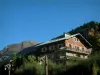 Les Contamines-Montjoie - Lampposts, trees, wooden chalet of the village (ski resort), the forest and the mountain