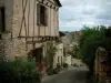 Cordes-sur-Ciel - Inclinato strada lastricata di fiori, piante, case in legno con telaio e cielo nuvoloso