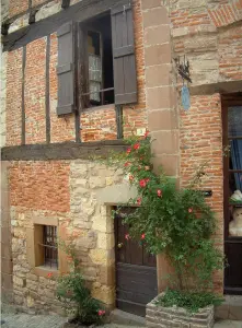 Cordes-sur-Ciel - Rosales trepadores (rosas) y la fachada de una casa en la ciudad medieval que combina ladrillo, piedra y madera