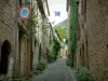 Cordes-sur-Ciel - Strada lastricata fiancheggiata da case di pietra con le facciate decorate con piante