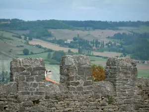 Cordes-sur-Ciel - Muren (versterkingen) met uitzicht op velden, bomen en bossen