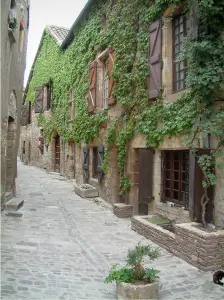 Cordes-sur-Ciel - Gepflasterte Gasse und Häuser aus Stein bedeckt mit wildem Weinstock