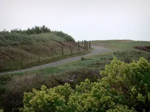 Cornisa de Vendée - Ridge Trail rodeada de pastizales y la vegetación