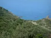 Corsican Cape - Trees, scrubland and Genoese tower by the sea (west coast)