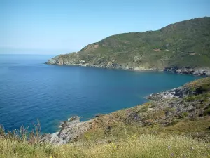 Corsican Cape - Wild flowers and hills of the west coast dominating the sea