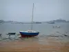 Costa de granito rosa - Praia de areia rosa, algas marinhas, mar (la Manche) na maré baixa com colorido barco à vela, barco e barco, então pedras e costelas à distância