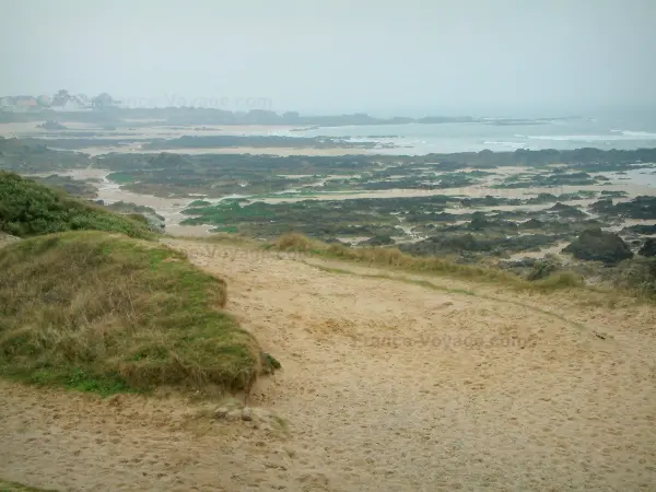 Costa Salvaje - De arena, rocas y el mar (Océano Atlántico)