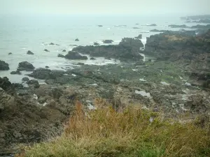 Costa Salvaje - La vegetación, las rocas y el mar (Océano Atlántico)