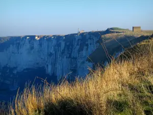 Côte d'Albâtre - Grass in primo piano con vista sulla scogliera, nel Pays de Caux