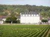 Côte de Beaune Weingegend - Winzerdorf Chassagne-Montrachet und Château de la Maltroye, zwischen Weinbergen und Wäldern