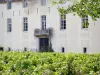 Côte de Beaune Weingegend - Château de Savigny-lès-Beaune und Weinberge