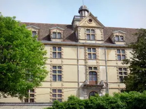 La Côte-Saint-André - Façade du château Louis XI et arbres