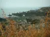 Côte Sauvage - Végétation en premier plan, rochers et mer (océan Atlantique)