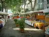 Cotignac - Cours Gambetta, bordé de platanes (arbres), avec un marché provençal