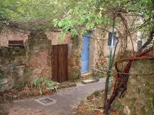 Cotignac - Village carril con plantas trepadoras, muros de piedra y la casa con una puerta azul