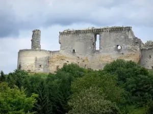 Coucy-le-Château-Auffrique - Vestiges du château féodal de Coucy (forteresse médiévale) et verdure