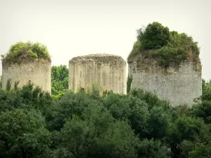 Coudray-Salbart castle - Towers of the fortress surrounded by greenery; in the town of Échiré