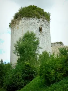 Coudray-Salbart castle - Tower of the fortress; in the town of Échiré