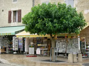 Coulon - Stone facades, souvenir and local products shops, and tree on the church square