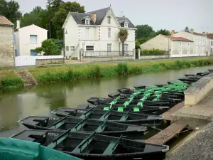 Coulon - Angelegte Kähne (Ladeplatz für eine Kahnfahrt in der Venise Verte (grünes Venedig), Sèvre Niortaise und Häuser; im Marais Poitevin (feuchter Sumpf)