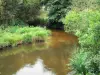 Courant d'Huchet - National Nature Reserve Huchet: waterwegen bekleed met vegetatie