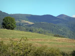Couserans - Uitzicht op de heuvels bedekt met weilanden en bomen, in het Regionale Natuurpark van de Ariège Pyreneeën
