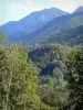 Couserans - Hills covered with trees; in the Ariège Pyrenees Regional Nature Park