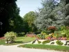 Coutances - Las plantas de jardín: árboles, flores, césped y flores