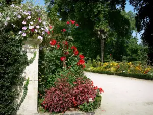 Coutances - Garten der Pflanzen: Blumen, Pflanzen und Bäume