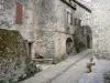 La Couvertoirade - Paved street lined with houses