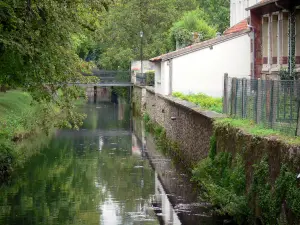 Crécy-la-Chapelle - Tal des Grand Morin: Fluss Grand Morin, Hâuser des Dorfes und Bäume am Wasserrand