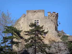 Crémieu - Delphinal Castle (kasteel) gelegen op de heuvel van St. Lawrence en bomen