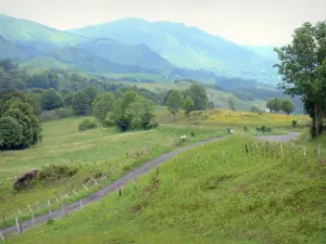 Crest road - View of the Cantal mountains from the Petite Route des Crêtes