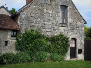 Crissay-sur-Manse - Casa de piedra y su fachada decorada con rosas trepadoras (Roses), en el valle de la Rectoría
