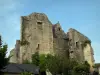 Crissay-sur-Manse - Rovine (rimane) del castello con un cielo blu, nella valle del Manse