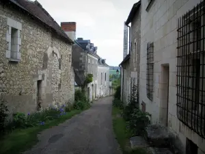 Crissay-sur-Manse - Ruelle bordée de fleurs, de plantes et de maisons, dans la vallée de la Manse