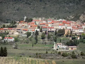 Cucugnan - Vue sur les maisons du village ; dans les Corbières