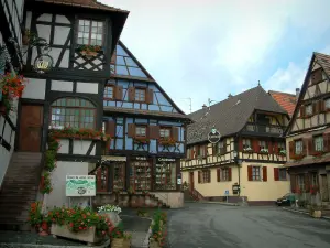 Dambach-la-Ville - Casas de madera con fachadas de colores y ventanas adornadas con flores (geranios)
