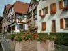 Dambach-la-Ville - Fuente con flores (geranios) y las casas de entramado de madera