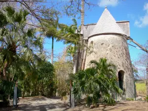 Damoiseau Rum distilleerderij - Oude windmolen op het gebied van Bellevue