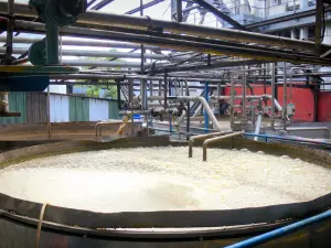 Damoiseau Rum distilleerderij - Distilleerderij fermentatietanks