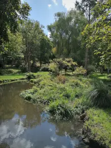 Dampierre castle - Piece of water surrounded by trees