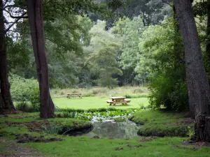 Dampierre castle - Green park of the castle