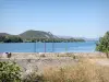 Défilé de Donzère - Vue sur le fleuve Rhône et ses abords verdoyants